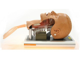 Głowa do nauki intubacji